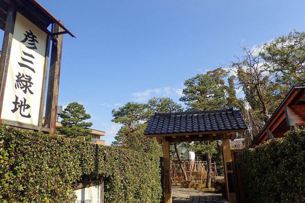 ねこお絵かきウォーキングの写真5