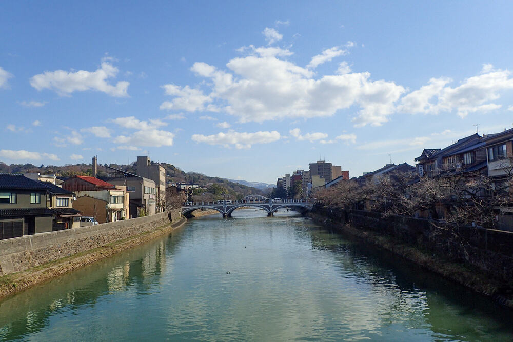 ねこお絵かきウォーキングの写真7