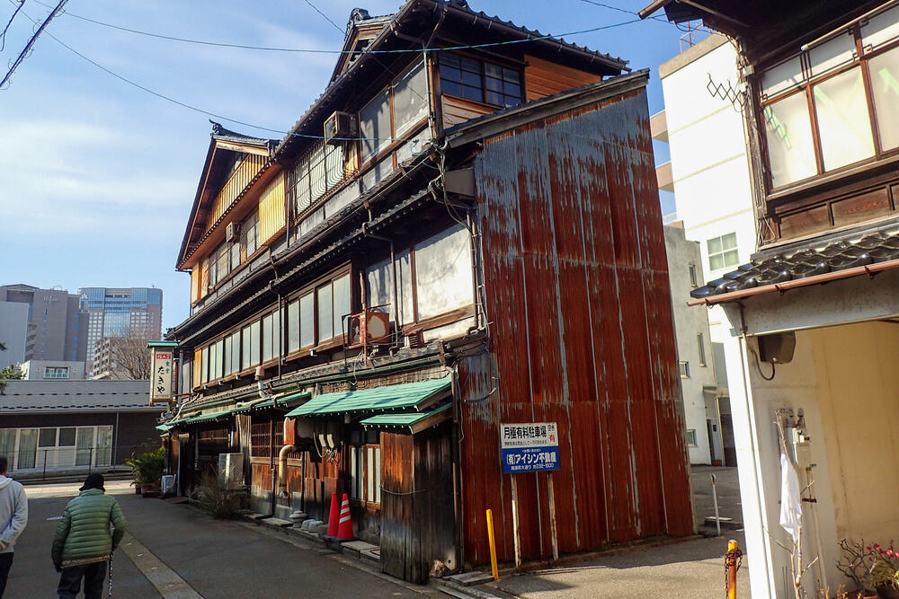 ねこお絵かきウォーキングの写真8