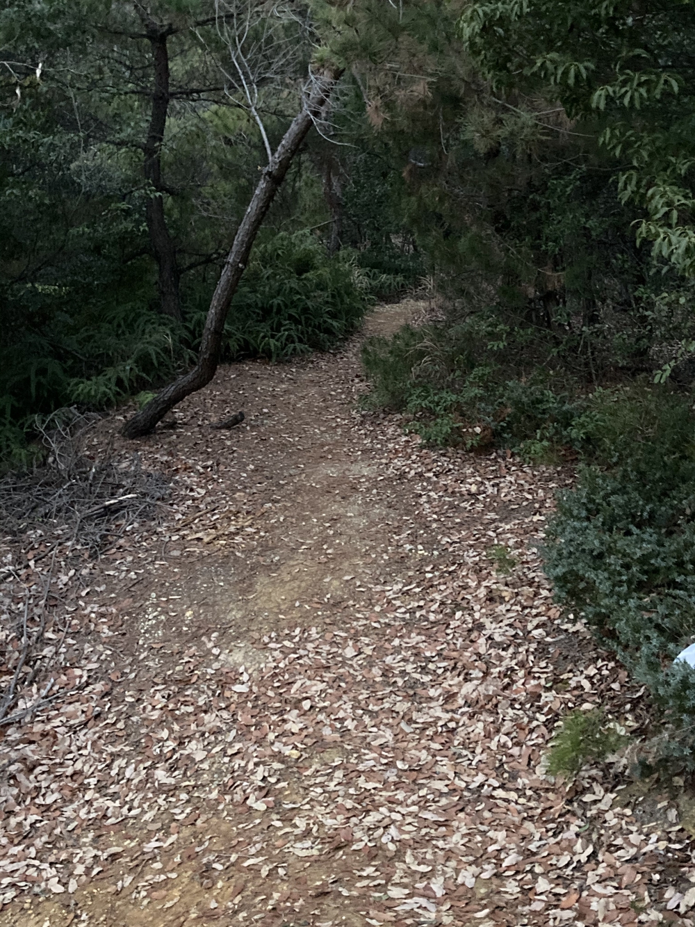 名古屋トレイルの写真3