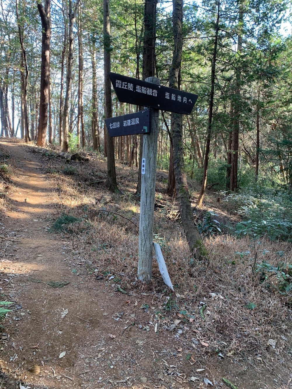 霞丘陵エリア ゆるトレランの写真3