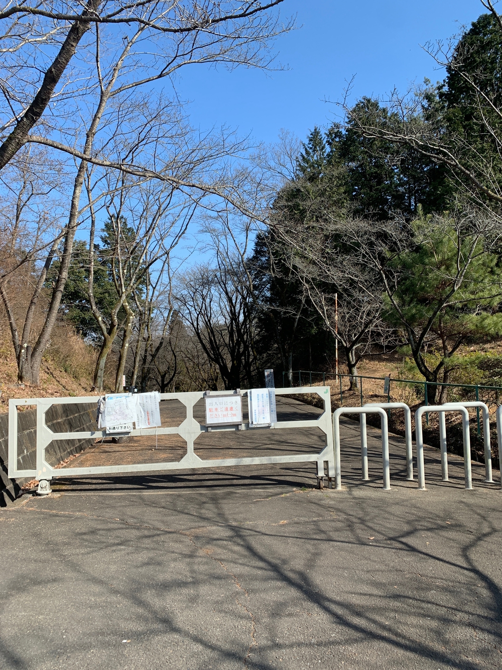 霞丘陵エリア ゆるトレランの写真4