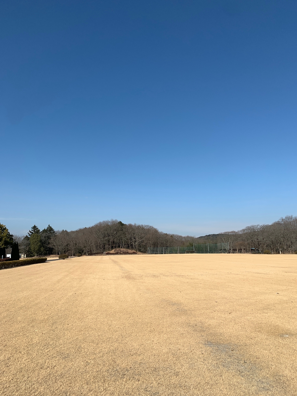 霞丘陵エリア ゆるトレランの写真6