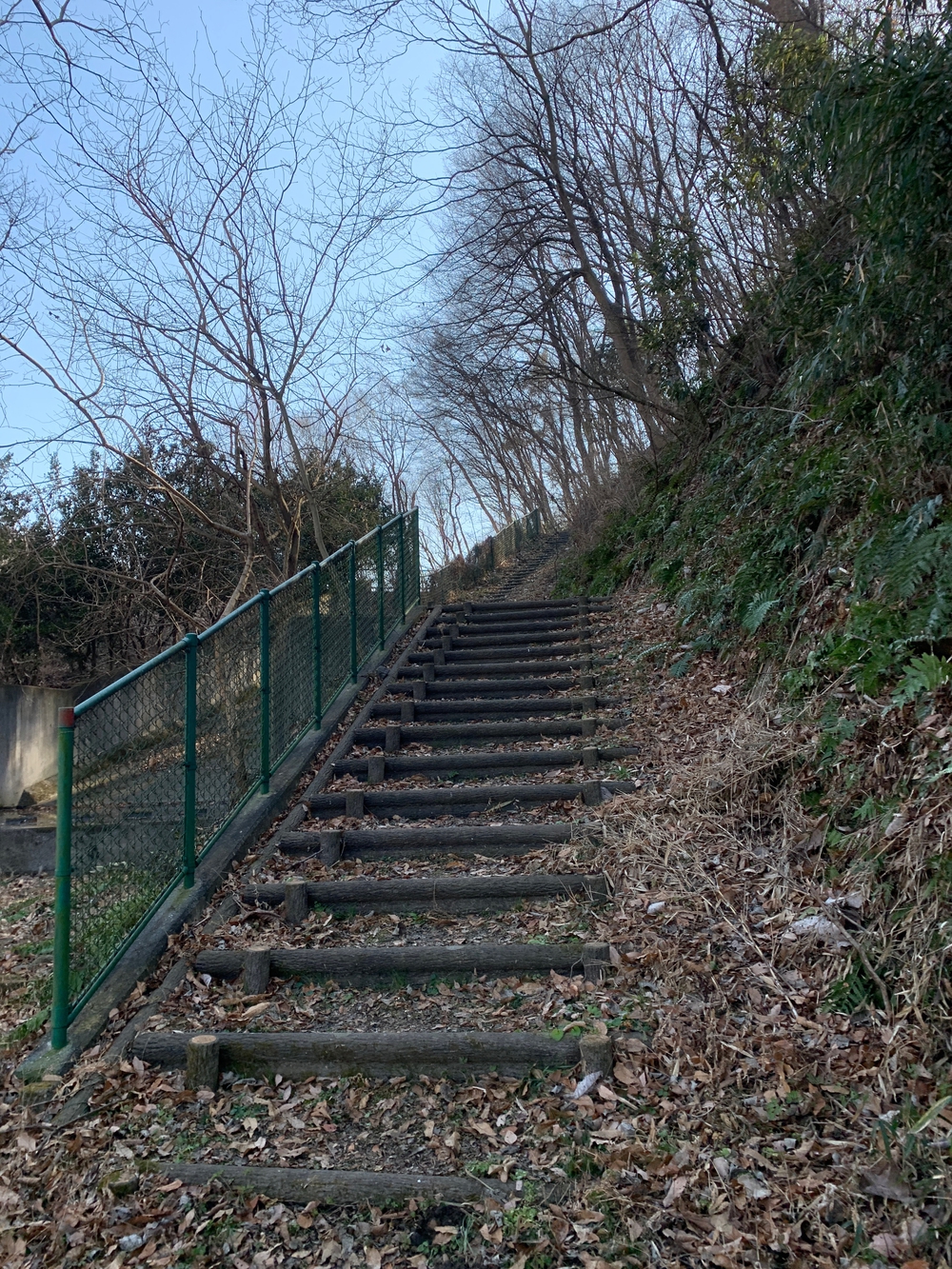 霞丘陵エリア ゆるトレランの写真7