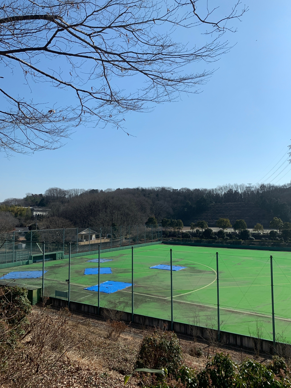 霞丘陵エリア ゆるトレランの写真8