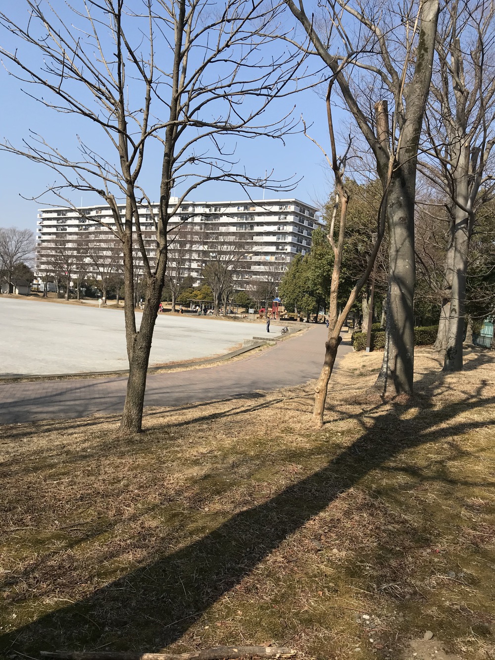 お手軽なんちゃってトレイルランの写真3