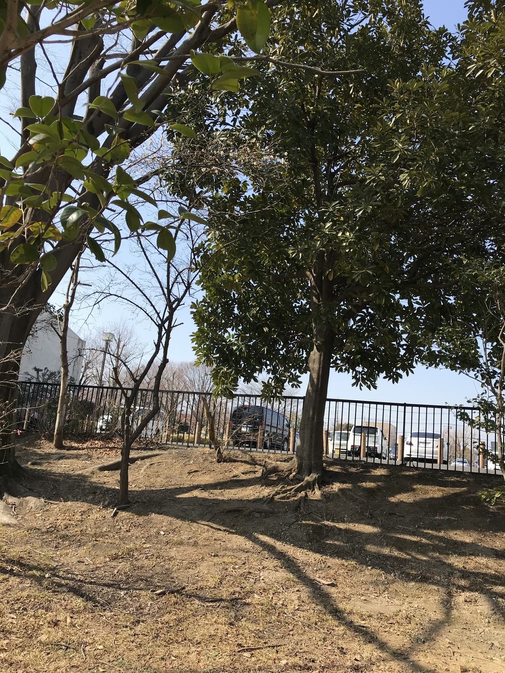 お手軽なんちゃってトレイルランの写真5