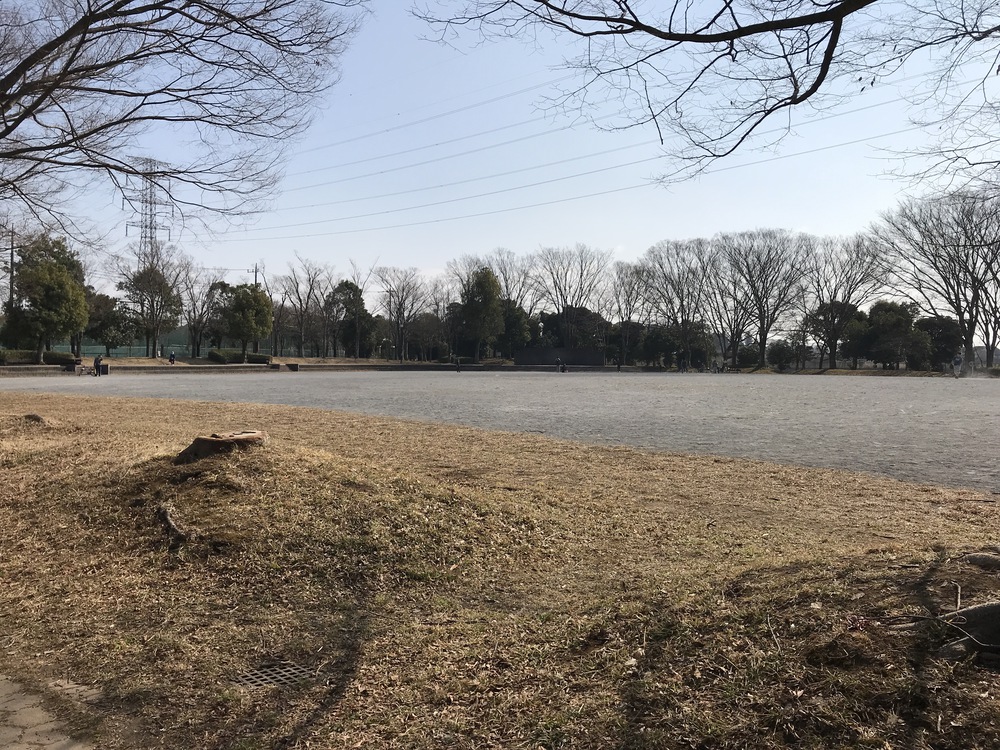 お手軽なんちゃってトレイルランの写真6