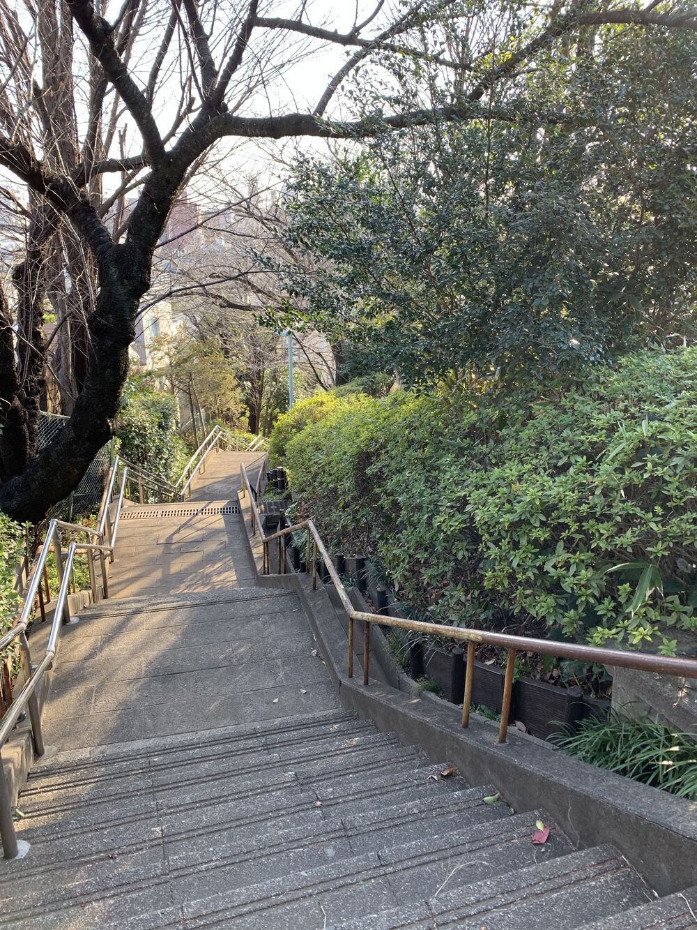 中目黒カフェ巡りウォークの写真8