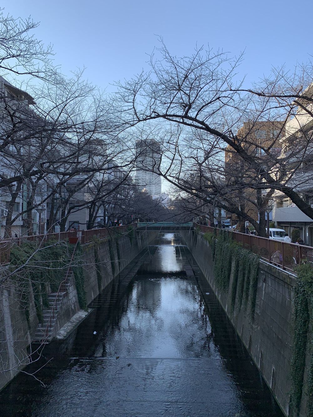 中目黒カフェ巡りウォークの写真15