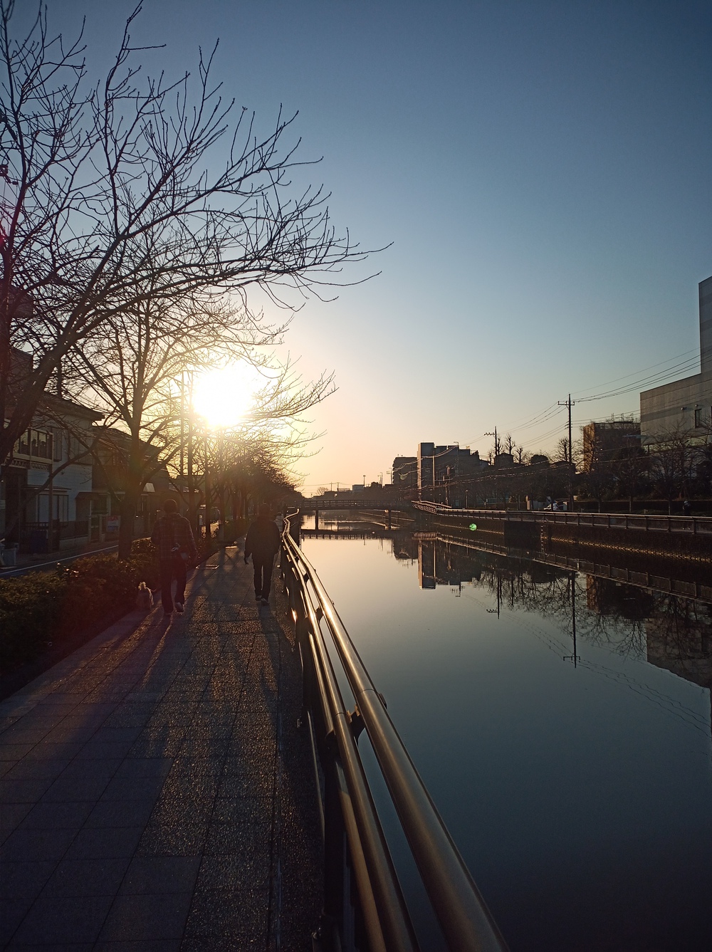 新中川中川荒川新川で1周 ラントリップ