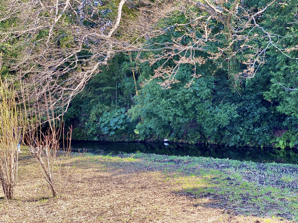 関東最大、スパジアムジャポン〜黒目川〜落合川リバーサイドランの写真3