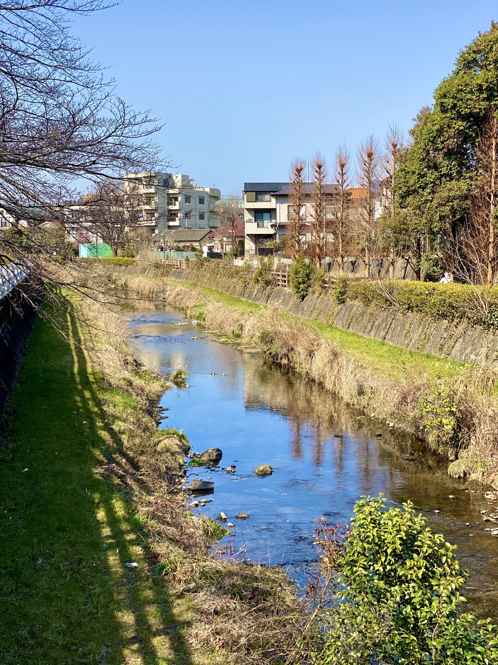 関東最大、スパジアムジャポン〜黒目川〜落合川リバーサイドランの写真5