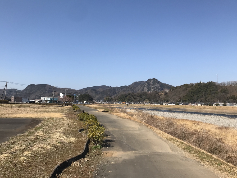修善寺から三島大社: 狩野川、大場川の土手をハーフマラソンの写真3