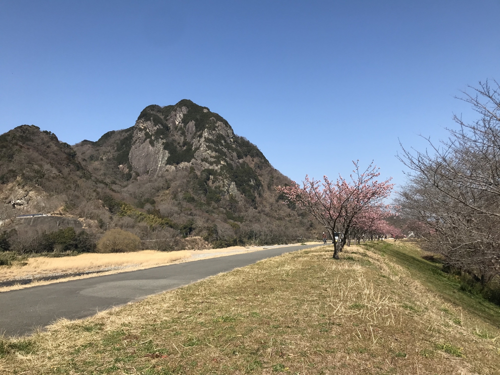 修善寺から三島大社: 狩野川、大場川の土手をハーフマラソンの写真4