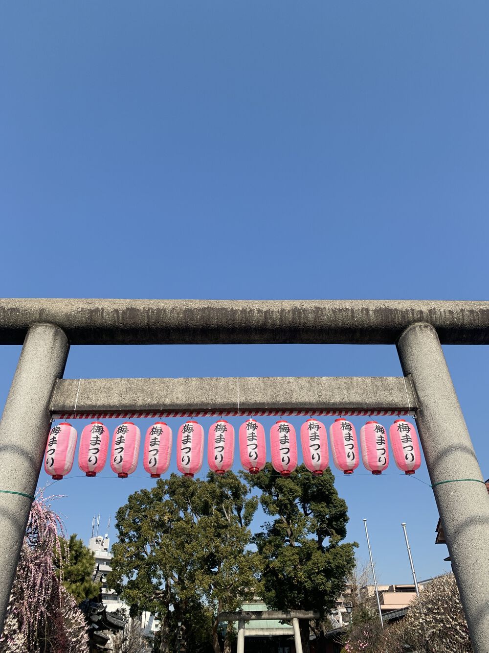 歌川広重と共にRUN 亀戸梅屋敷の写真5