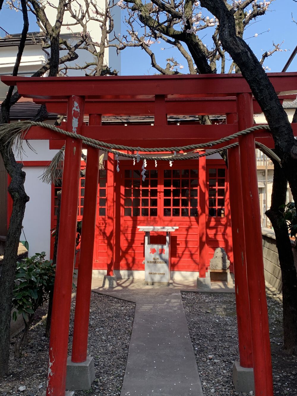 歌川広重と共にRUN 亀戸梅屋敷の写真6