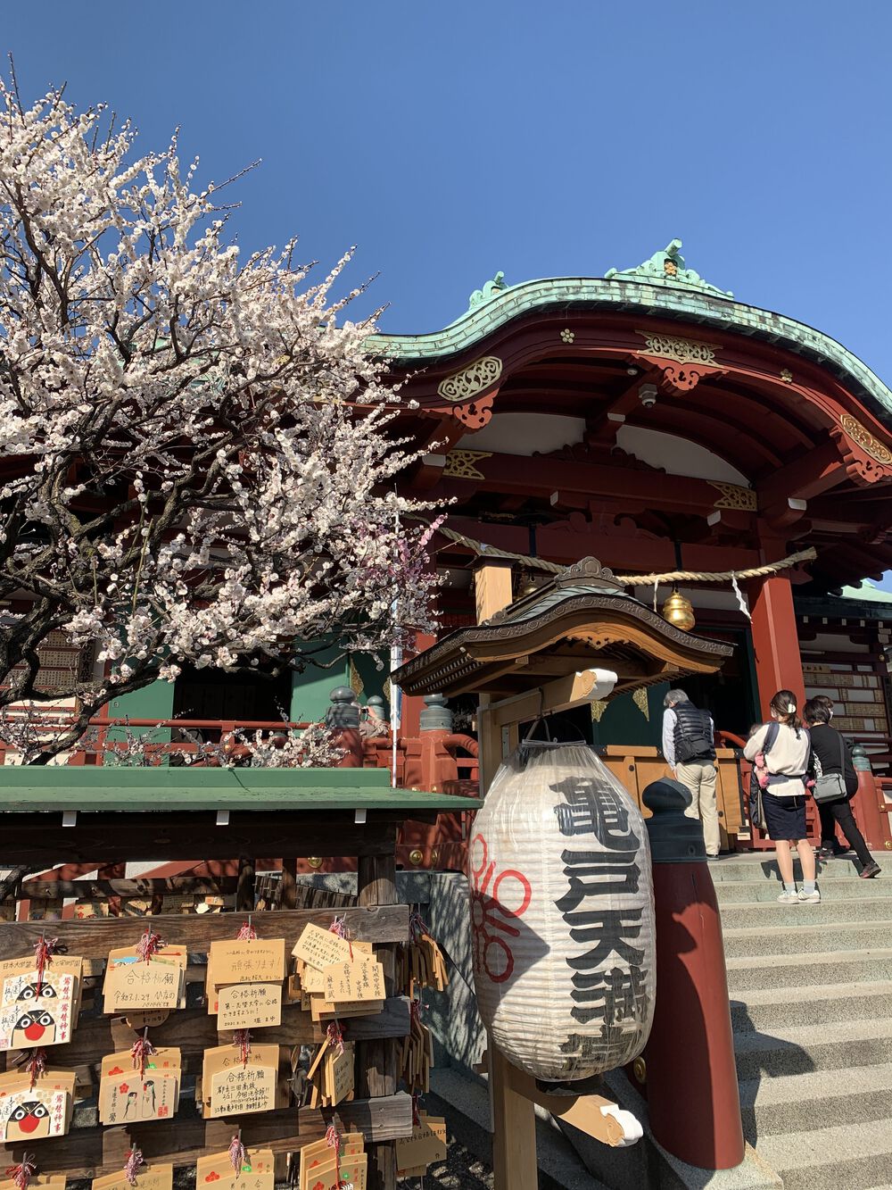 歌川広重と共にRUN 亀戸梅屋敷の写真7