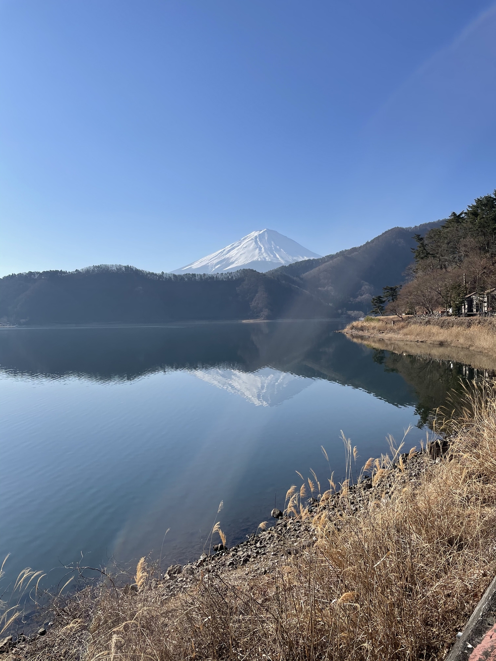 富士山と水辺の自然が美しいハーフコースの写真4