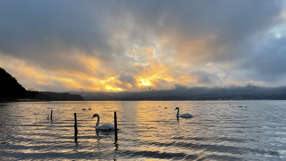 早朝ランお勧め幻想的な山中湖の写真4