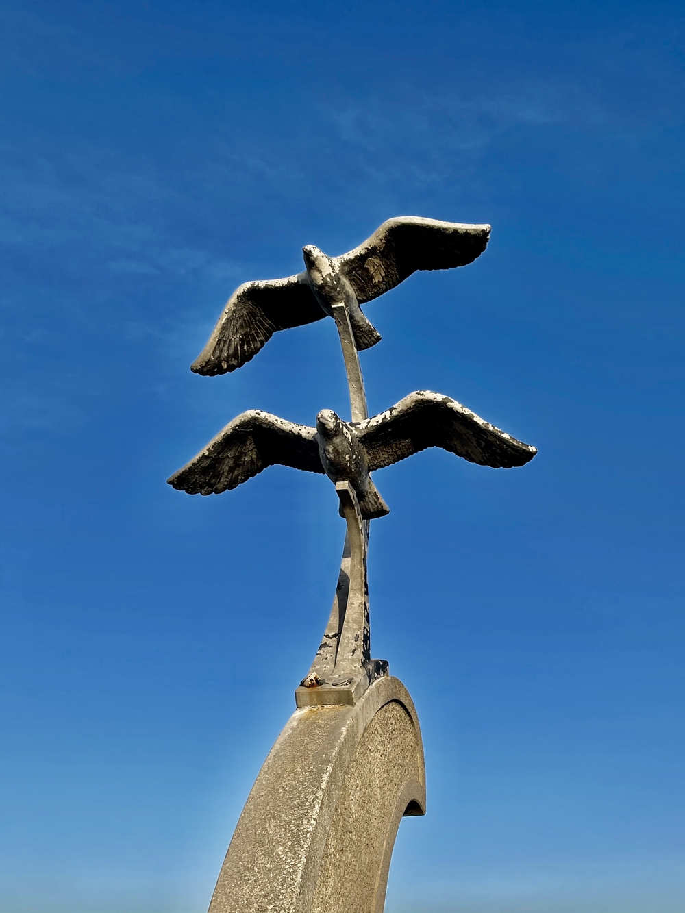 幕張稲毛シーサイドランニングコースの写真8