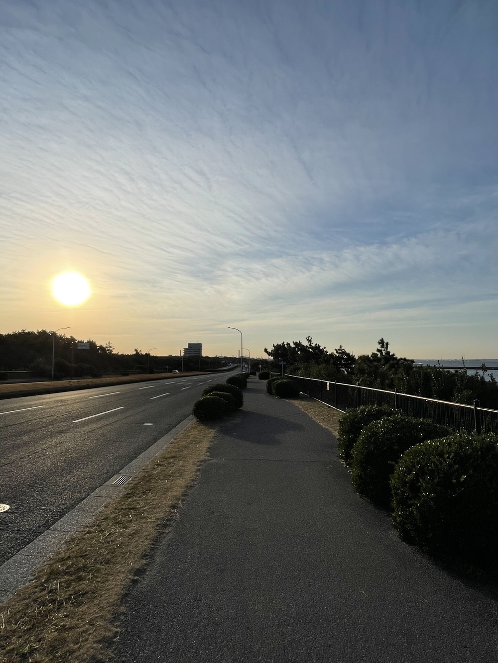 幕張稲毛シーサイドランニングコースの写真10