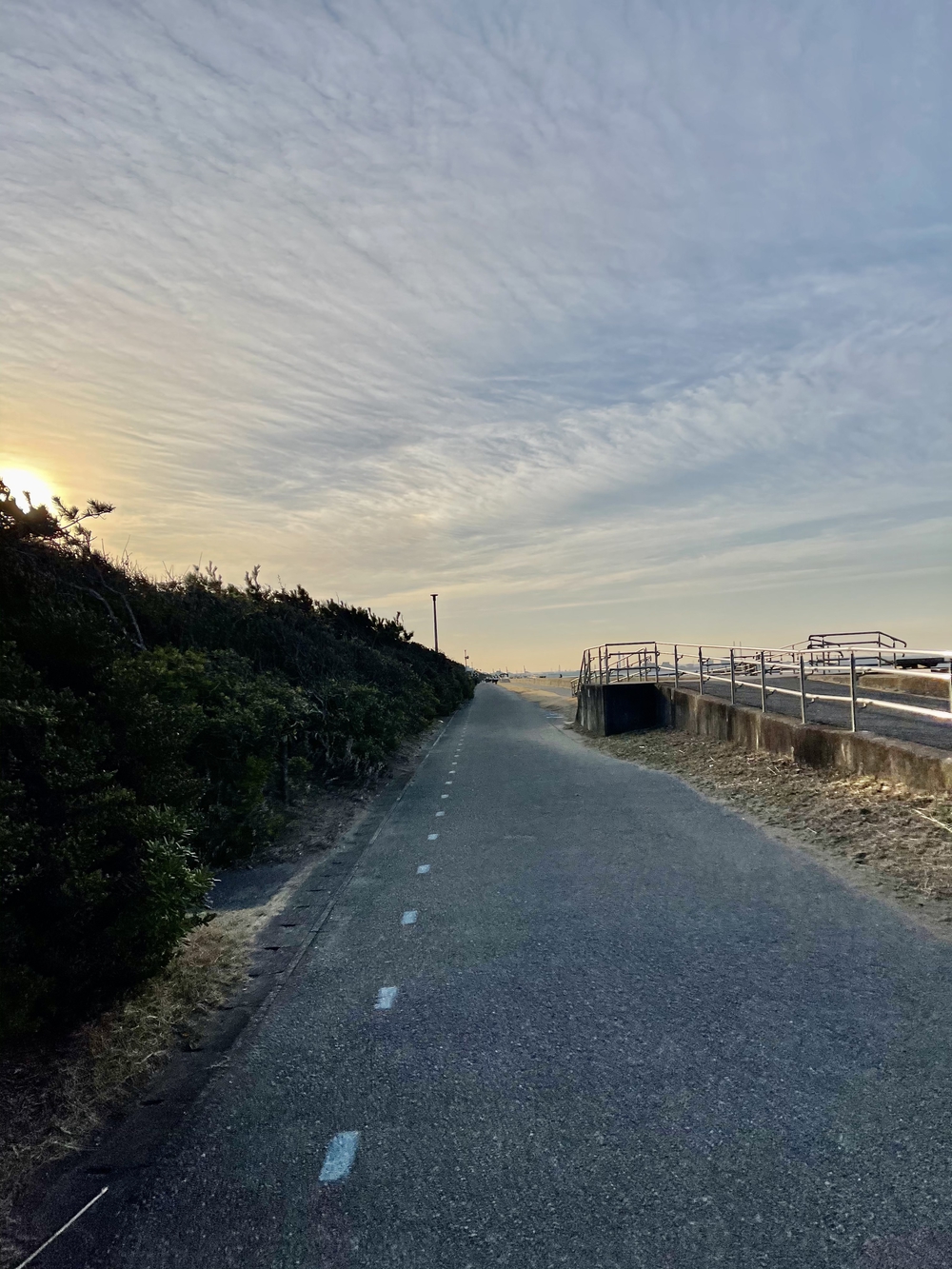 幕張稲毛シーサイドランニングコースの写真11