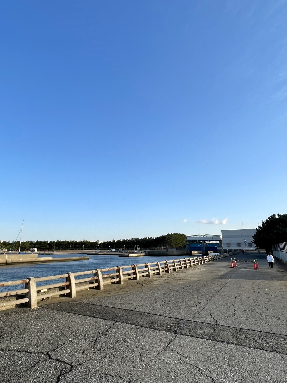 幕張稲毛シーサイドランニングコースの写真13