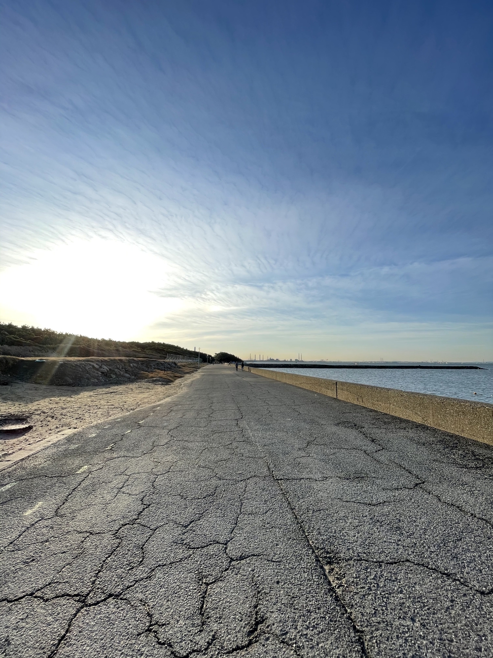 幕張稲毛シーサイドランニングコースの写真14