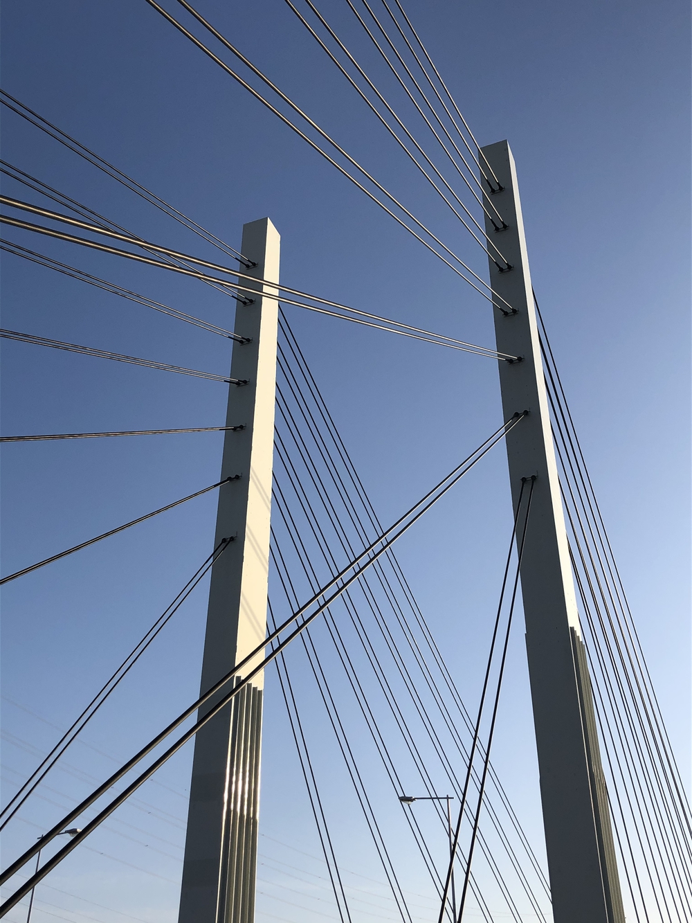 彩湖一望　風の路コースの写真8