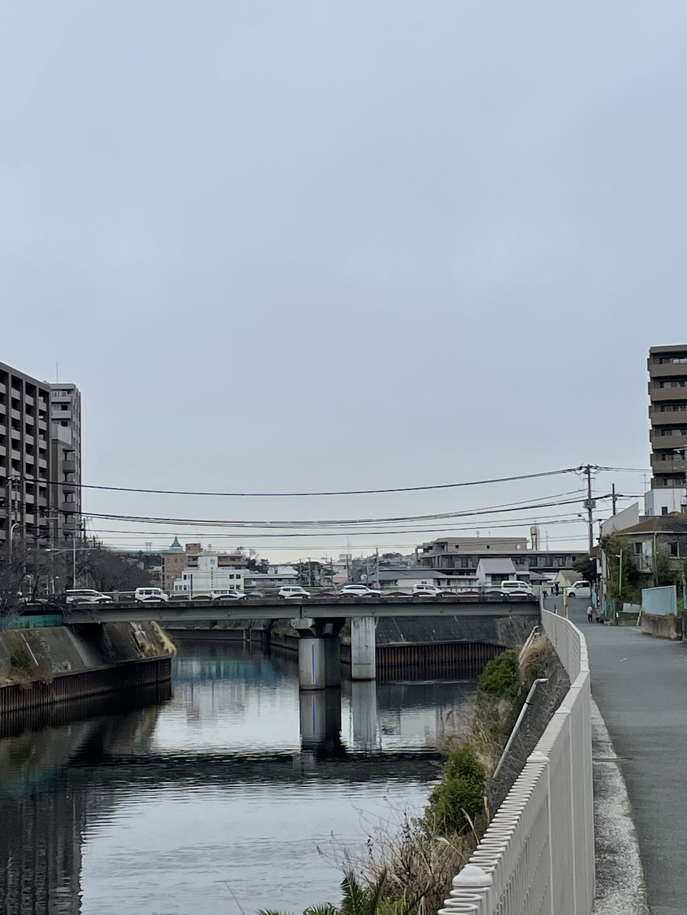 ［21キロ］境川から和泉川に乗り換えするコースの写真3