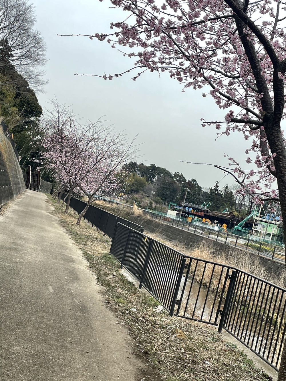 ［21キロ］境川から和泉川に乗り換えするコースの写真5