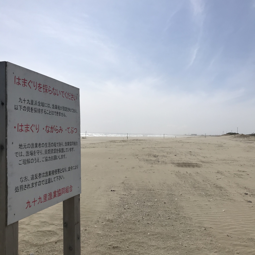 チーバくんへ、ネックレスのプレゼントラン🎁の写真3