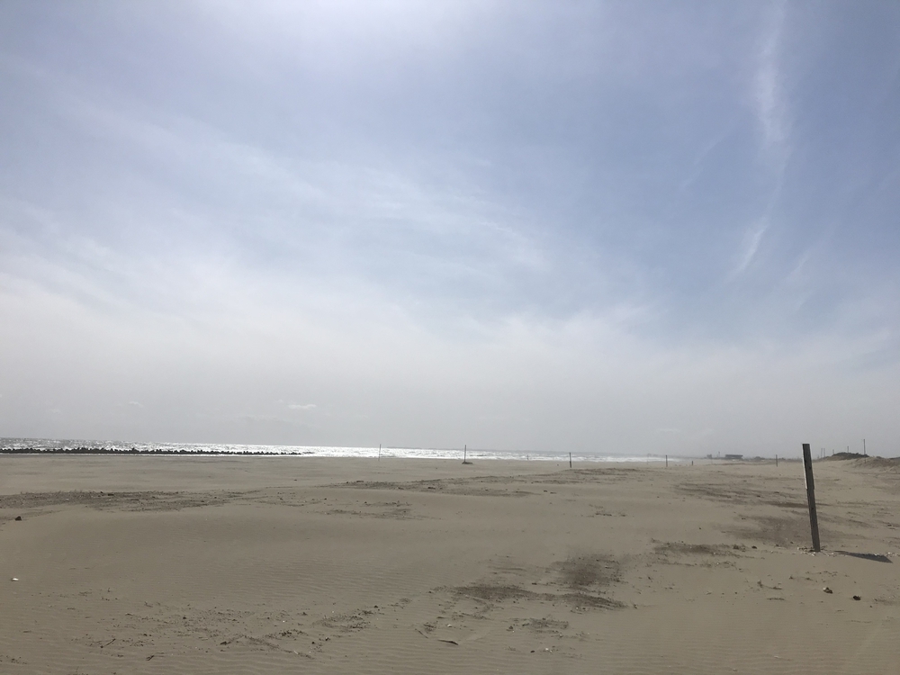 チーバくんへ、ネックレスのプレゼントラン🎁の写真4