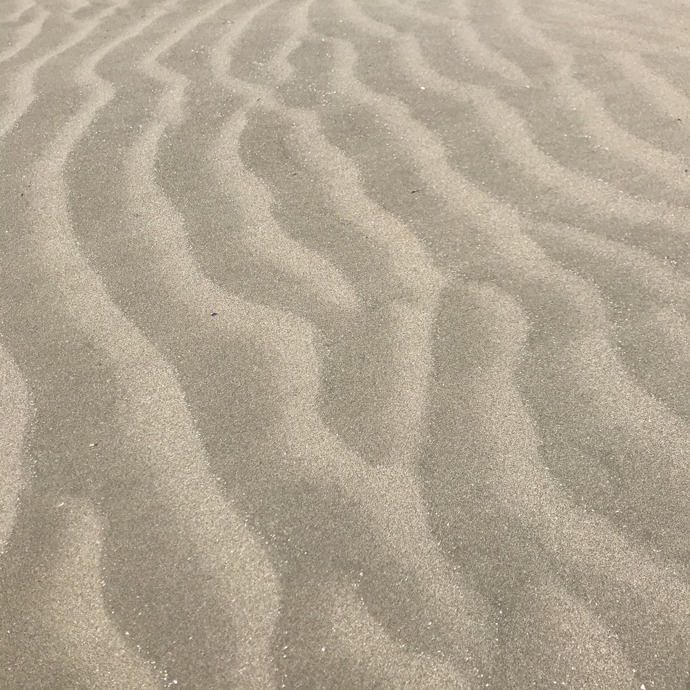 チーバくんへ、ネックレスのプレゼントラン🎁の写真5