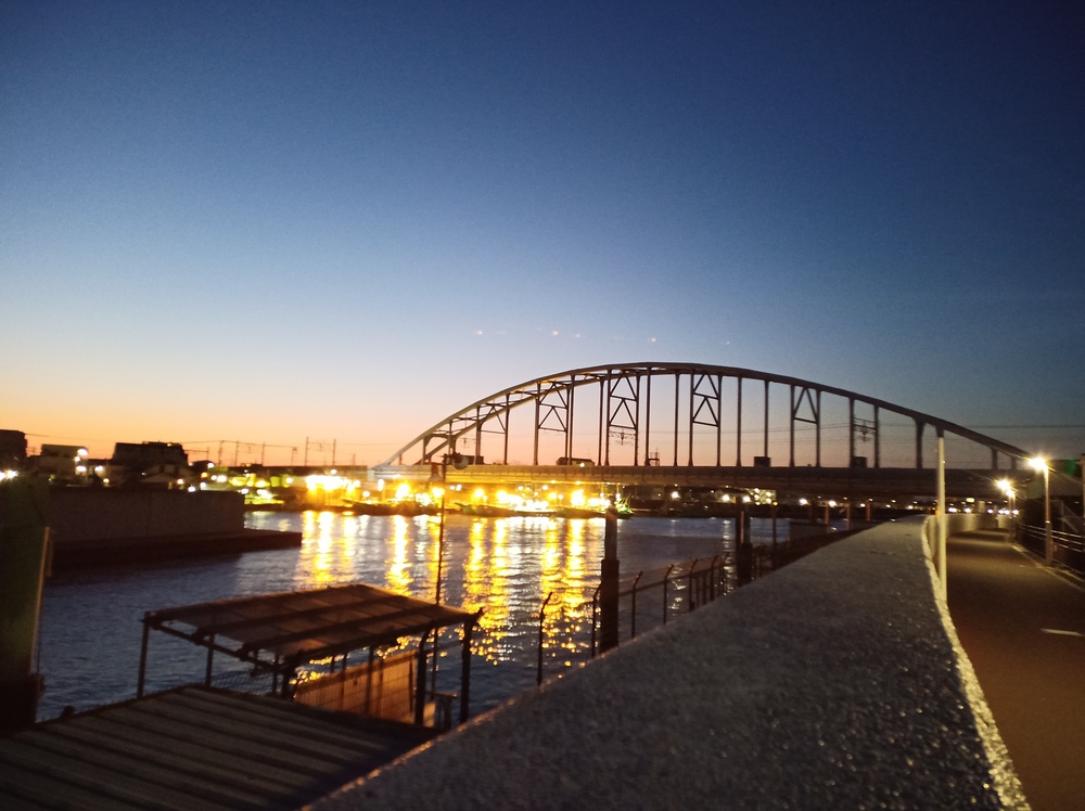 川沿いラン＆葛西臨海公園でハーフ走。の写真3