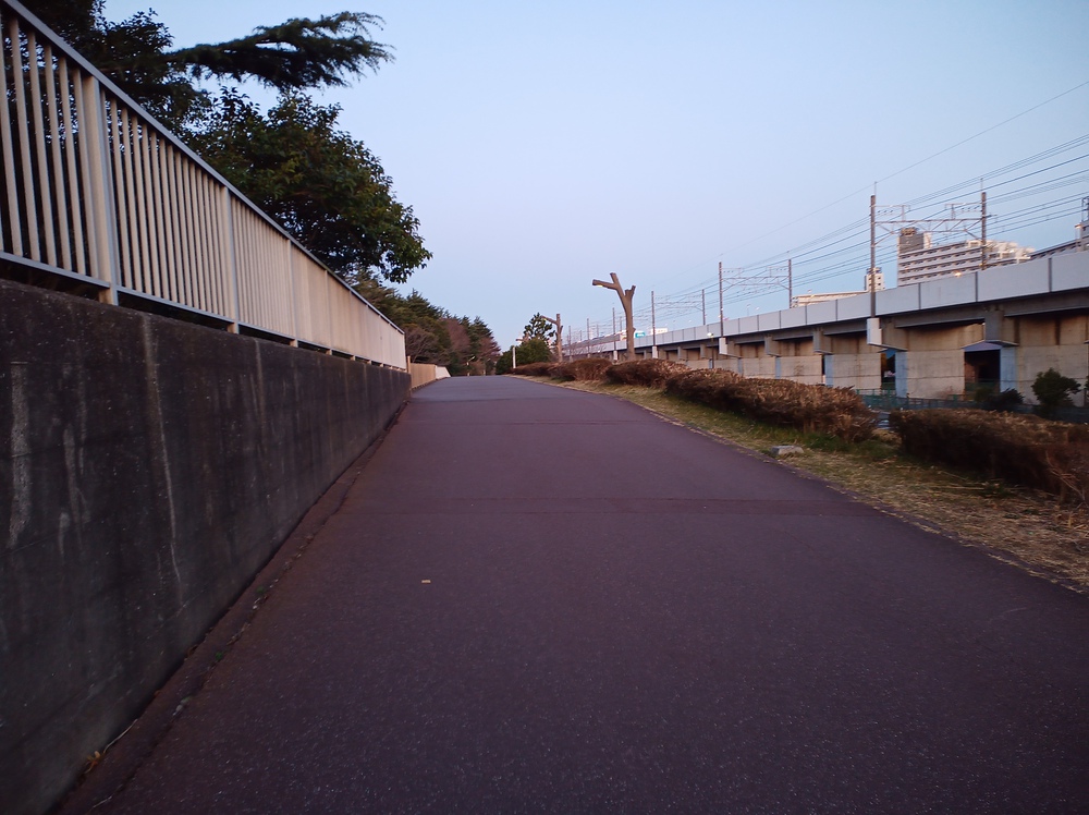 川沿いラン＆葛西臨海公園でハーフ走。の写真4