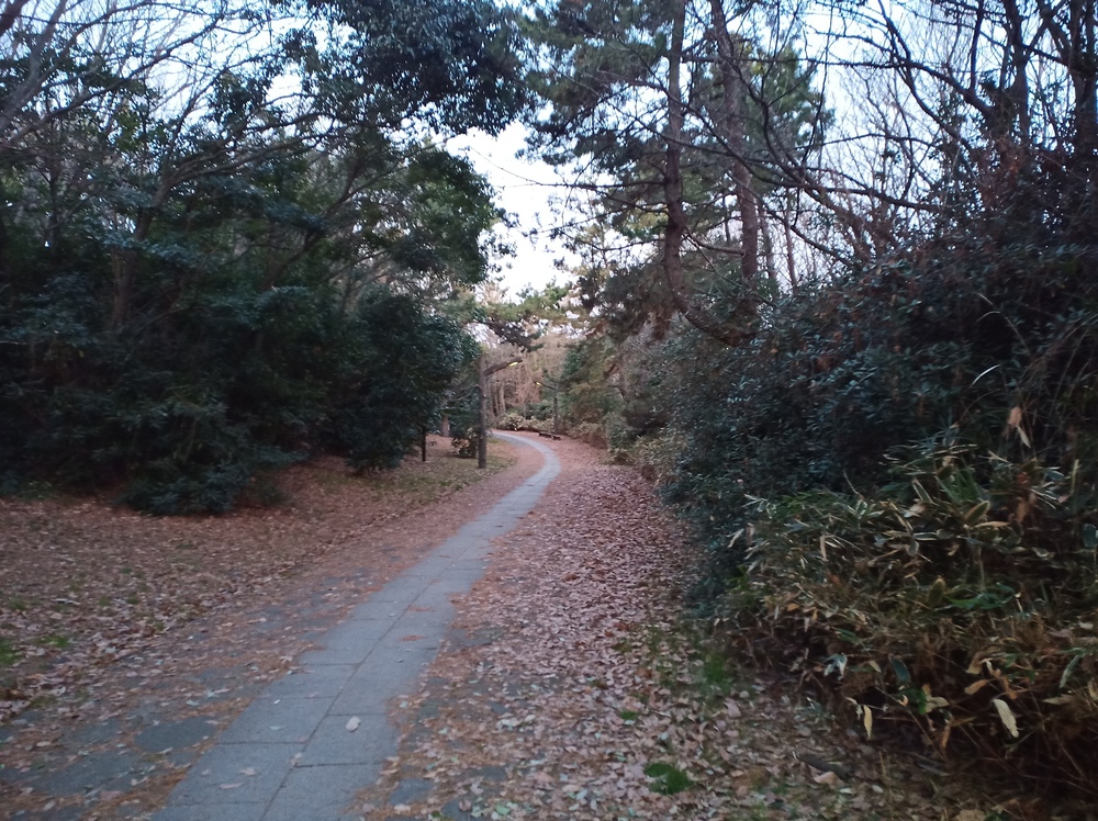 川沿いラン＆葛西臨海公園でハーフ走。の写真5