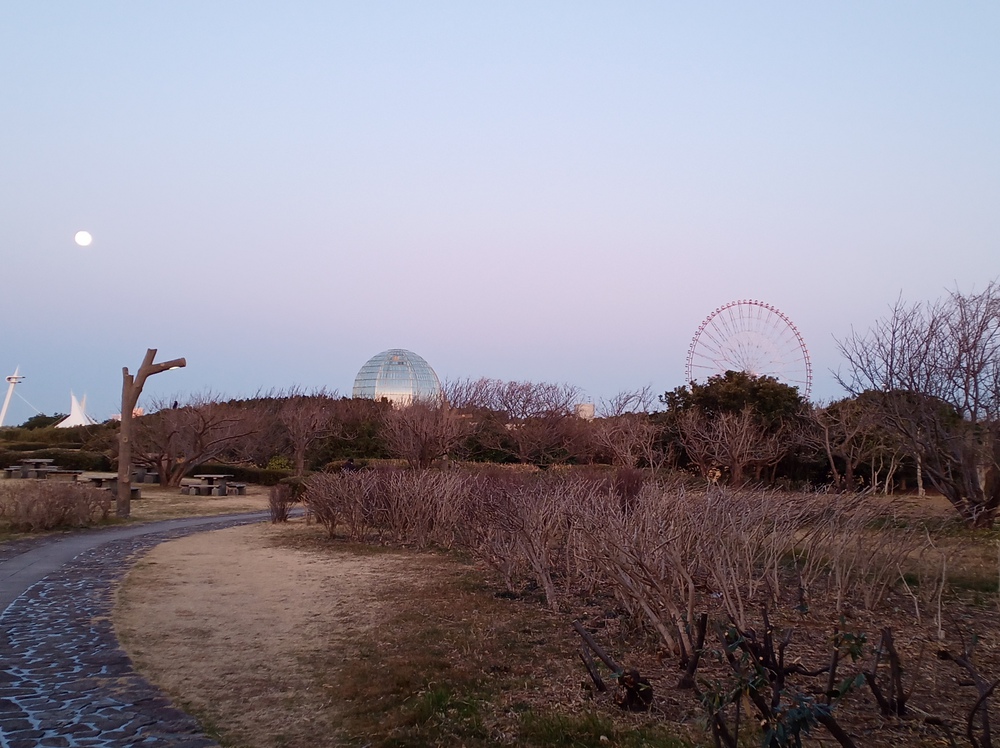 川沿いラン＆葛西臨海公園でハーフ走。の写真6