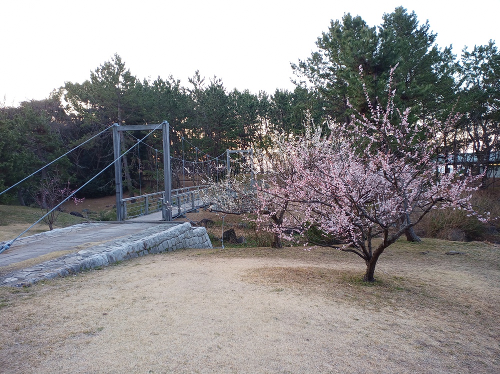川沿いラン＆葛西臨海公園でハーフ走。の写真9