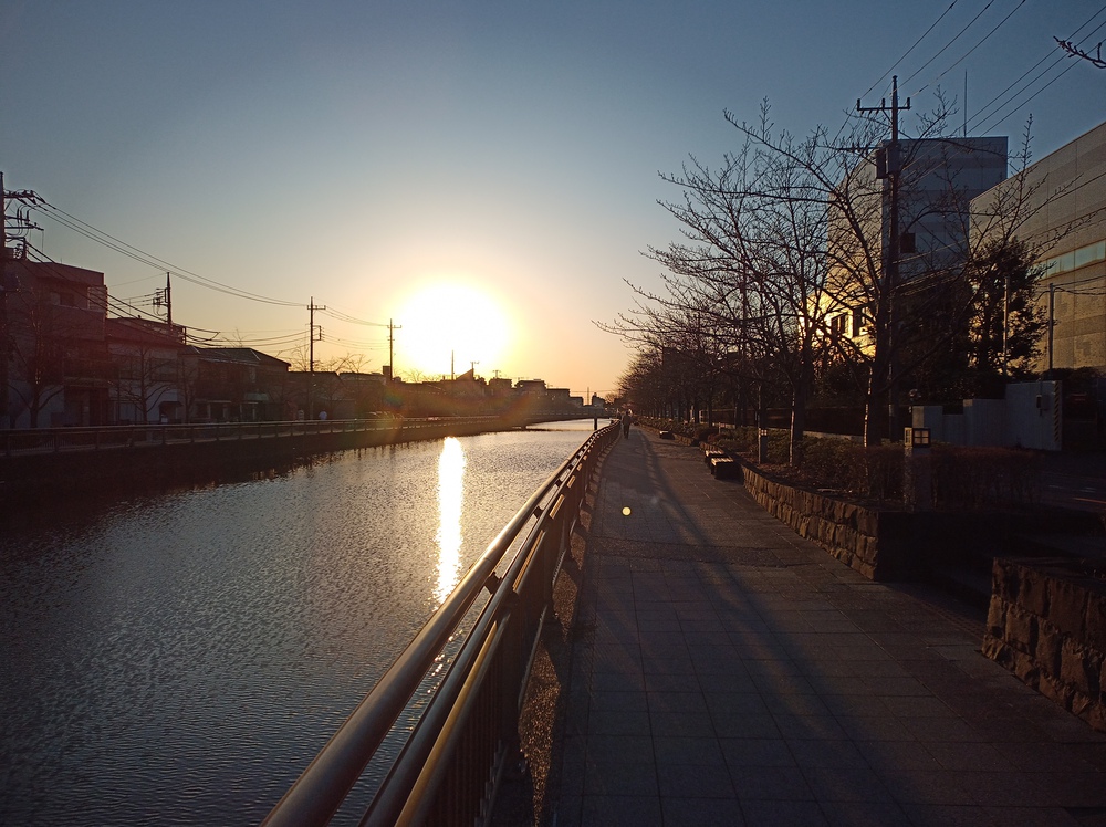 川沿いラン＆葛西臨海公園でハーフ走。の写真11
