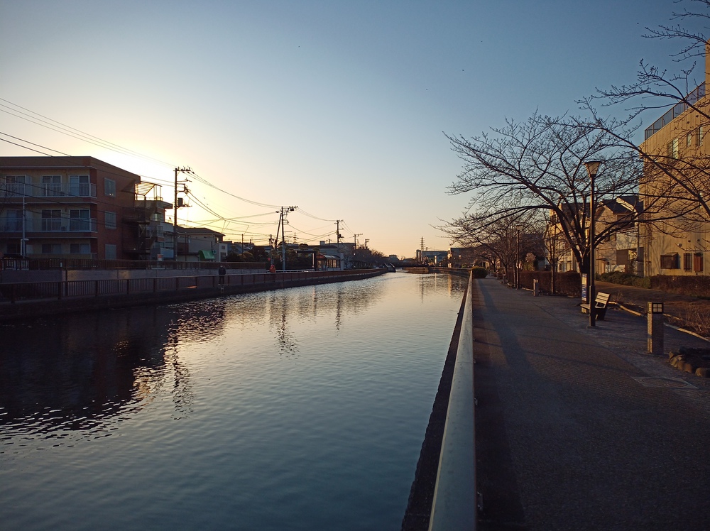 川沿いラン＆葛西臨海公園でハーフ走。の写真12