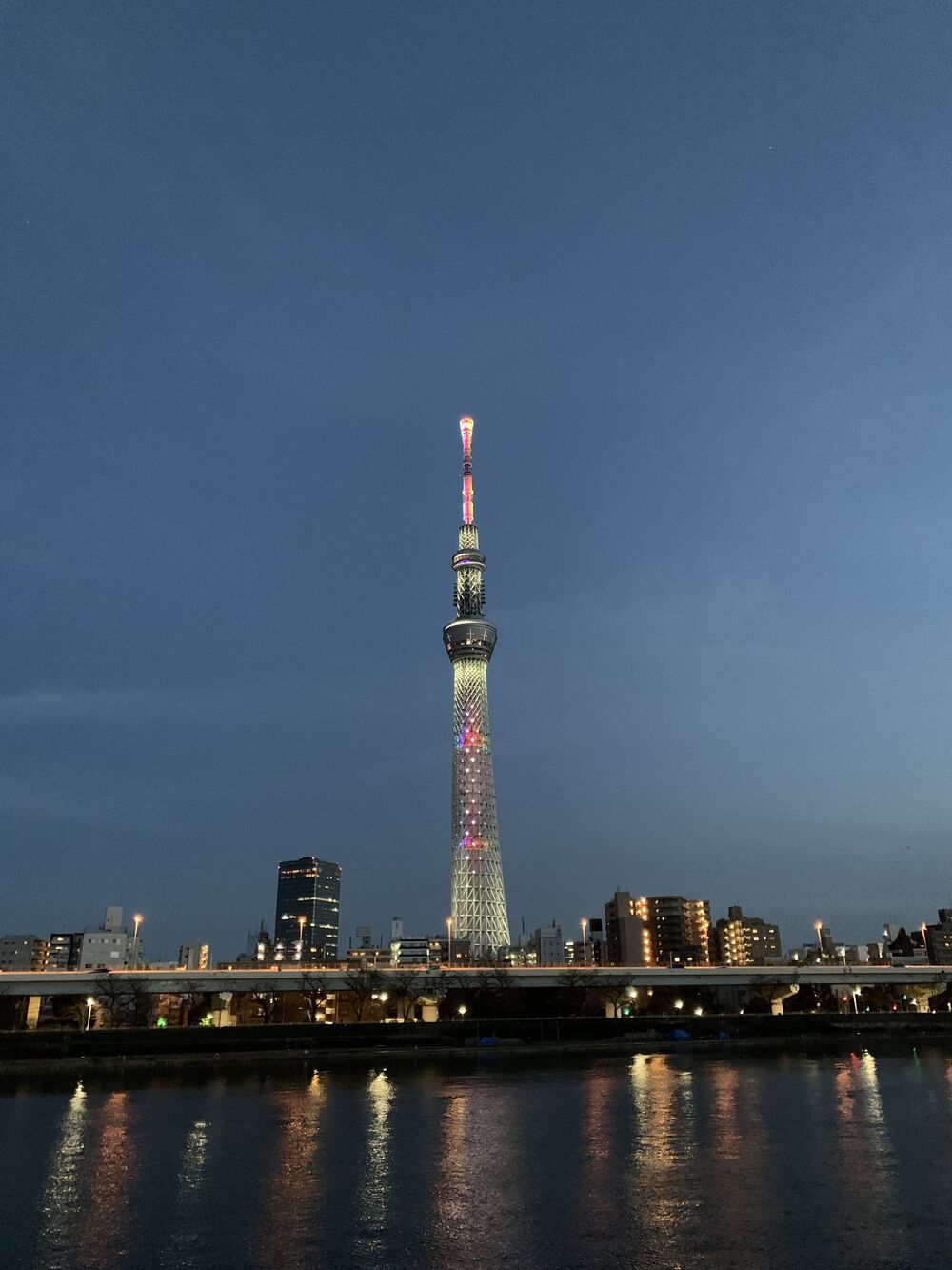 歌川広重と共にRUN 吉原の写真7