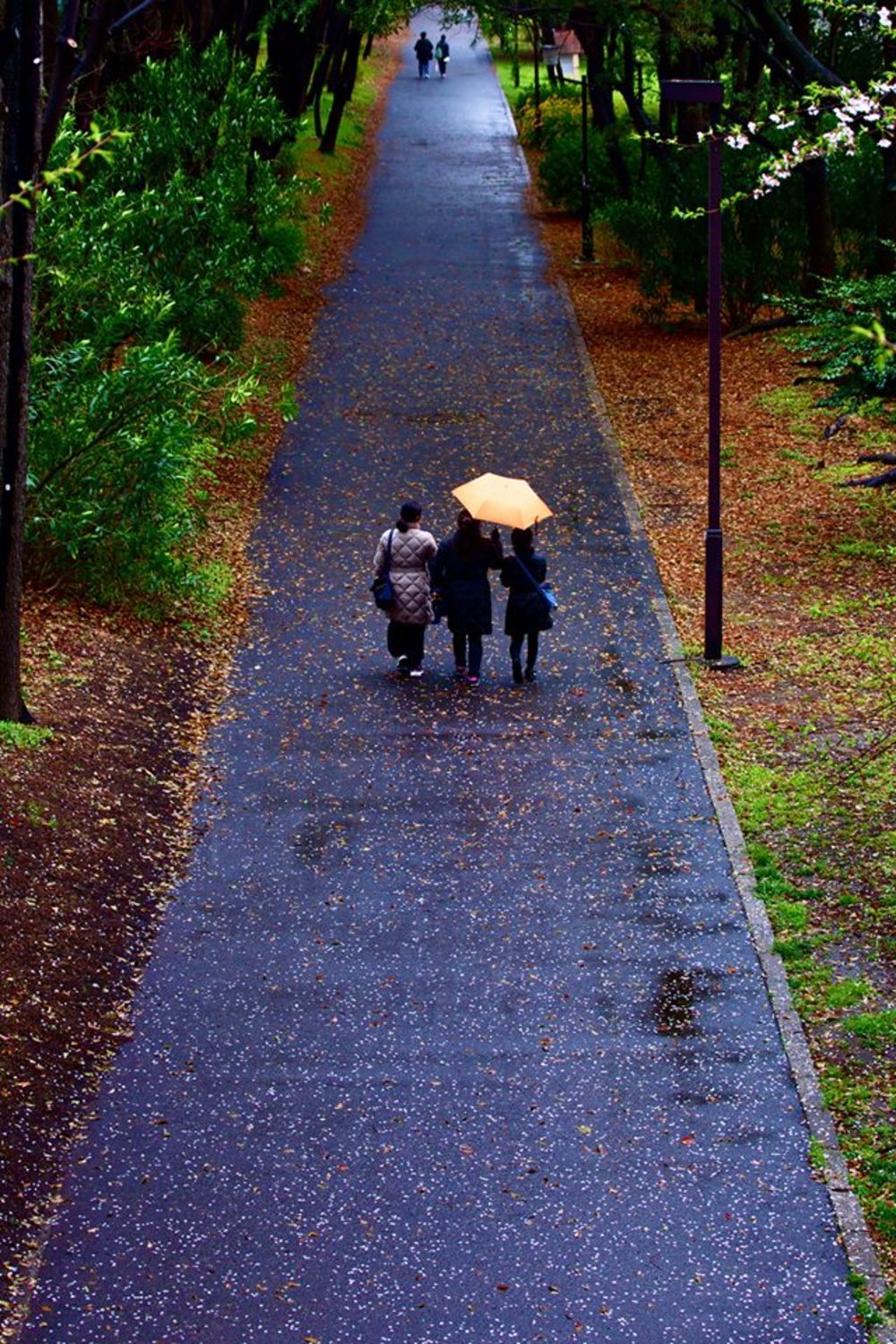 サウス東京・湾岸リバーサイドの写真3