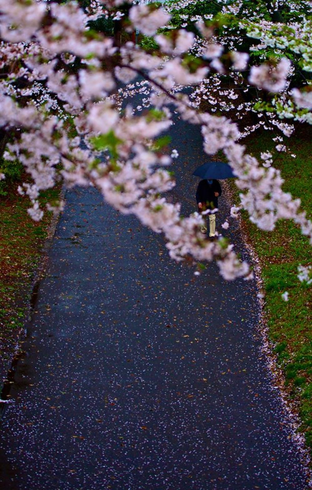 サウス東京・湾岸リバーサイドの写真4