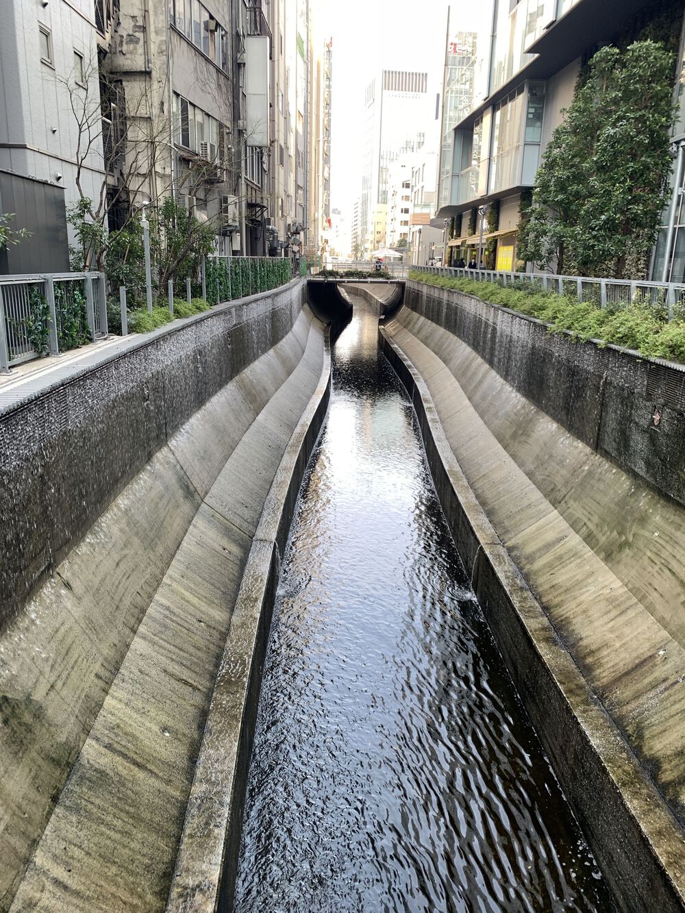歌川広重と共にRUN 渋谷川の写真4