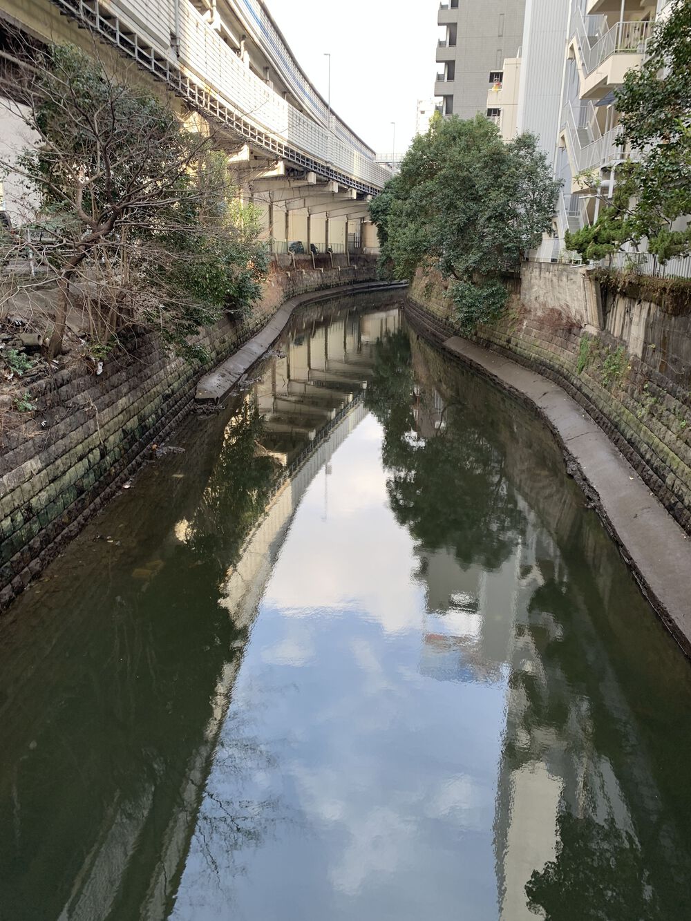 歌川広重と共にRUN 渋谷川の写真8