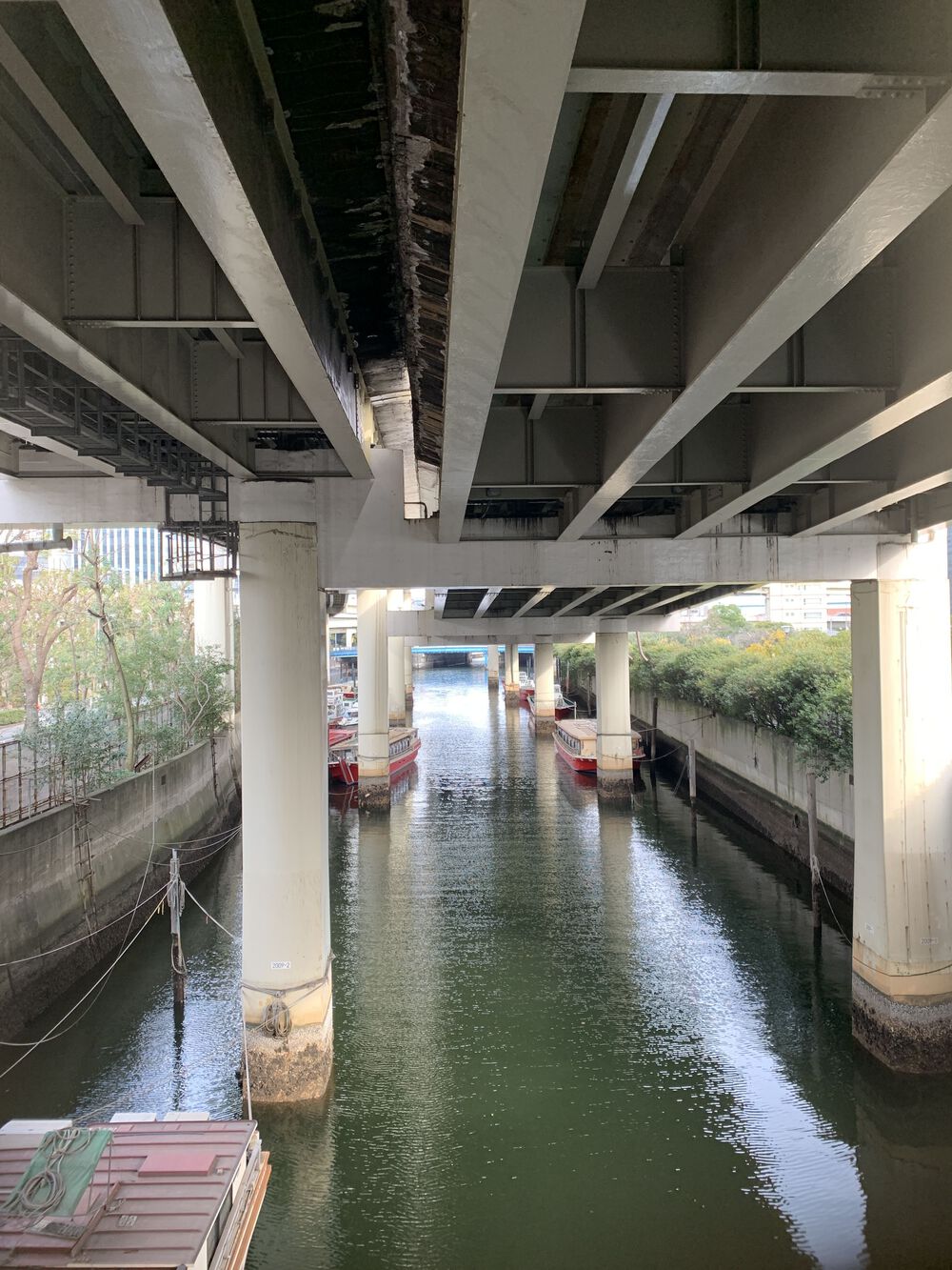 歌川広重と共にRUN 渋谷川の写真11