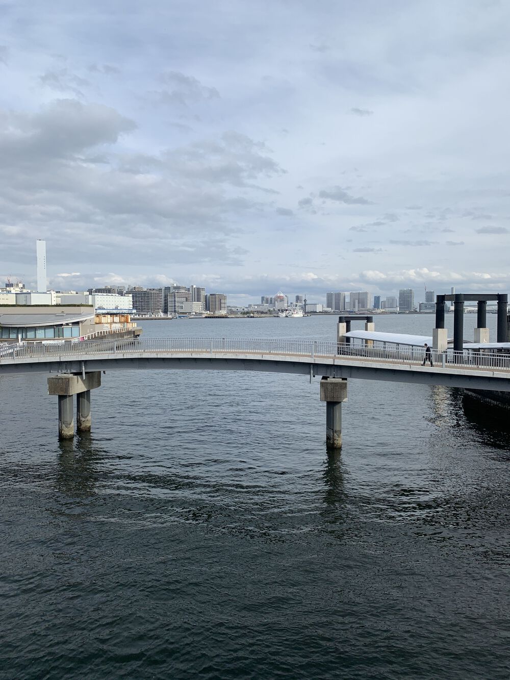 歌川広重と共にRUN 渋谷川の写真12