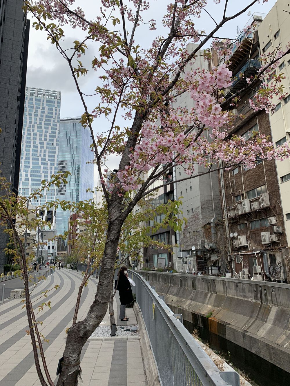 歌川広重と共にRUN 渋谷川の写真14